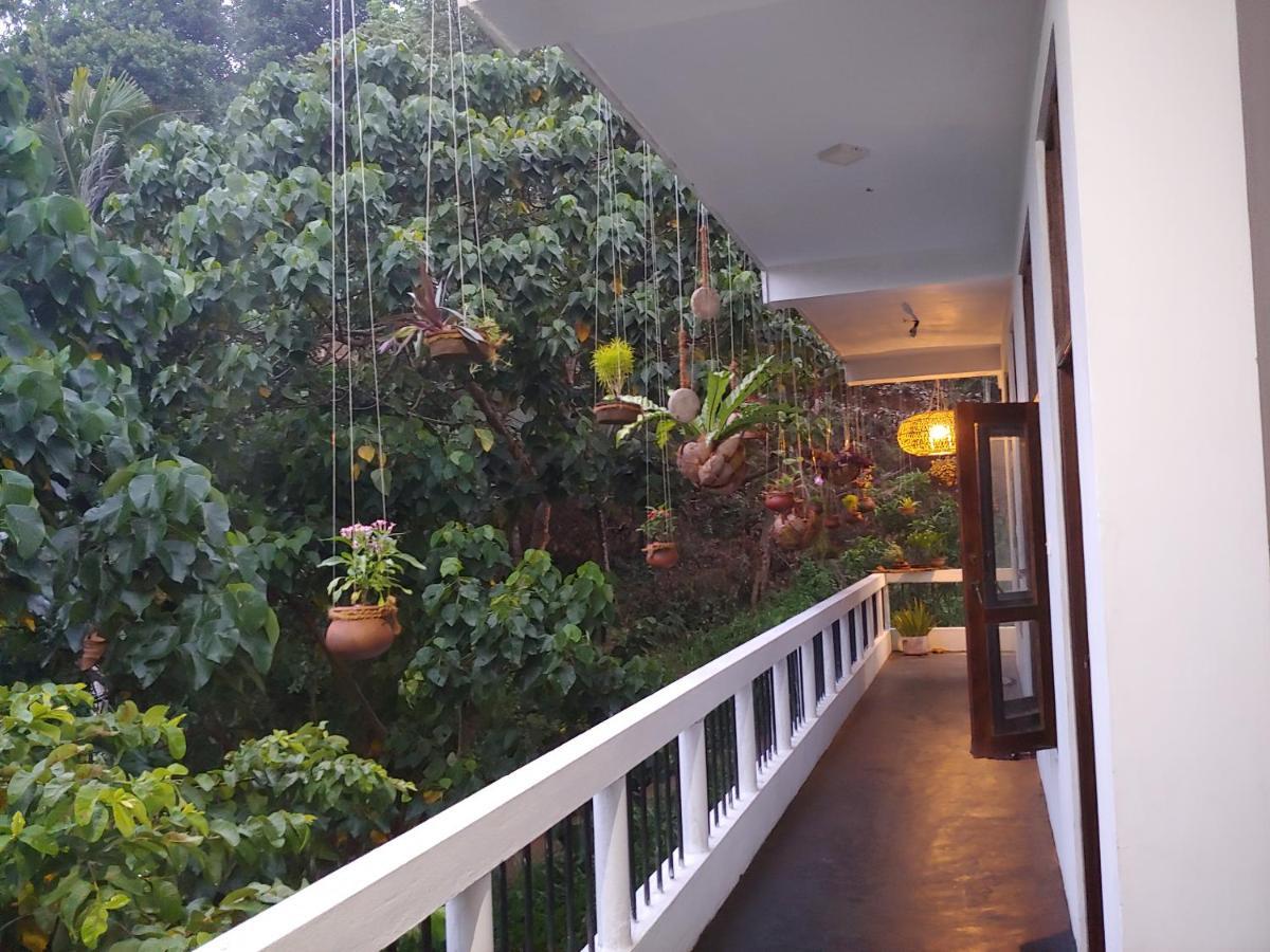 Daasa Guest Mirissa Hotel Exterior foto