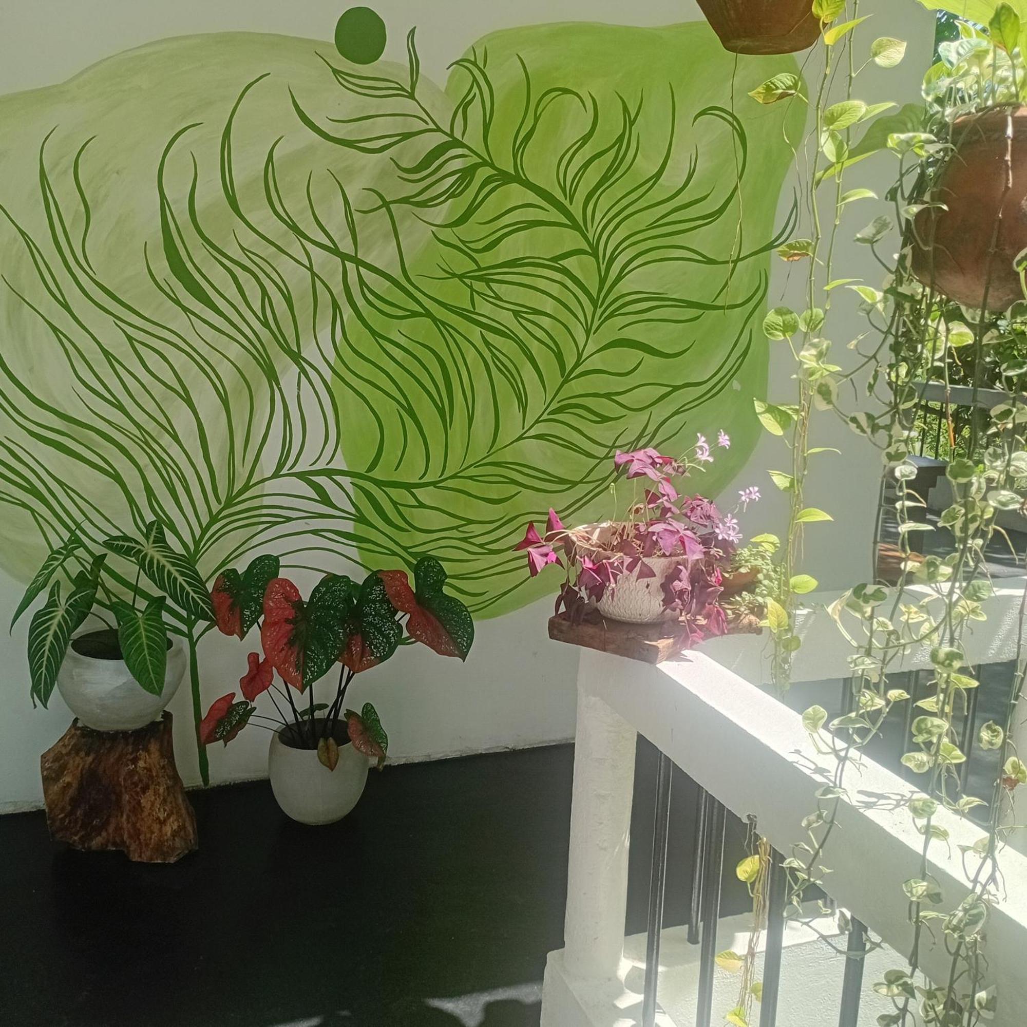 Daasa Guest Mirissa Hotel Cameră foto